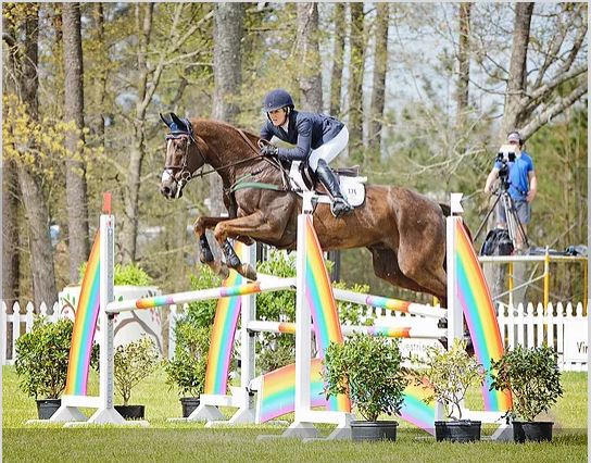 Nupafeed® Allison Springer wins the CIC 3* at the Carolina ...