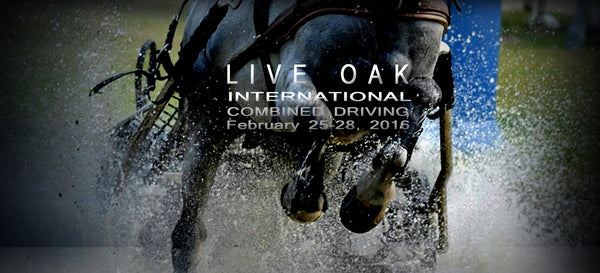Live Oak International will be Celebrating their Silver Anniversary!  Feb 25 thru 28 2016