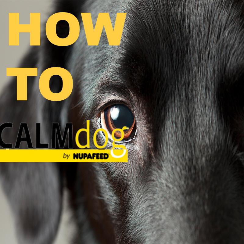 how to administer Nupafeed  CALM dog