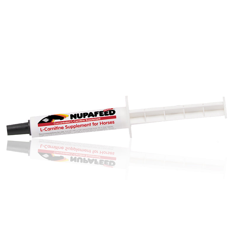 L-Carnitine Concentrate Oral Paste | Horse Antioxidant Nupafeed USA L-Carnitine Concentrate Oral Paste | Horse Antioxidant Nupafeed USA